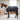 MHS show blanket/stable blanket Star Performer