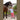 Rijbroek Equitights Check Diva Stella Full Grip