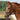 Hoofdstel Elegance