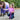 Vliegendeken Mesh Pro Diva Violet
