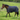MHS Coperta Turnout Bentley Plus 200gr