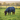 Couverture anti-mouches Premiere XS « All Year » avec col